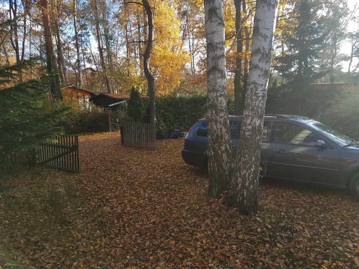 Ferienhaus Gemutlicher Ferienbungalow Am Felsensee Bei