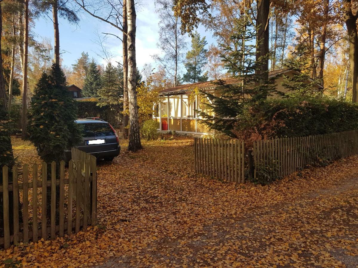 Gemutlicher Ferienbungalow Am Felsensee Bei Pretzien