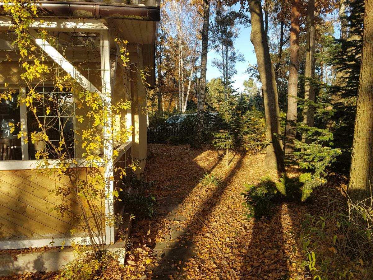 Gemutlicher Ferienbungalow Am Felsensee Bei * Pretzien