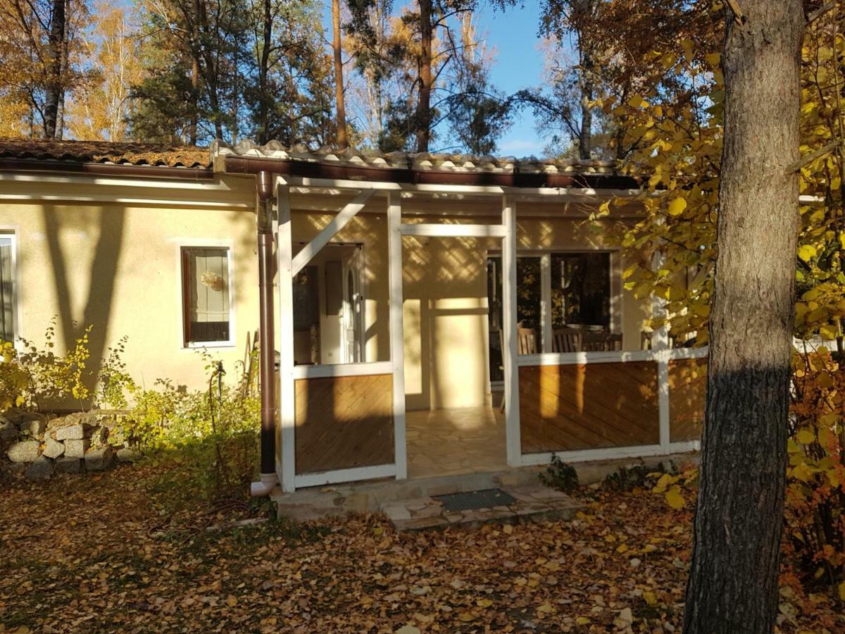 Gemutlicher Ferienbungalow Am Felsensee Bei Ferienhaus Pretzien